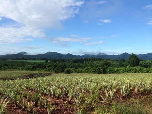 Nong Ya Plong 3 Days Ride - Image 8